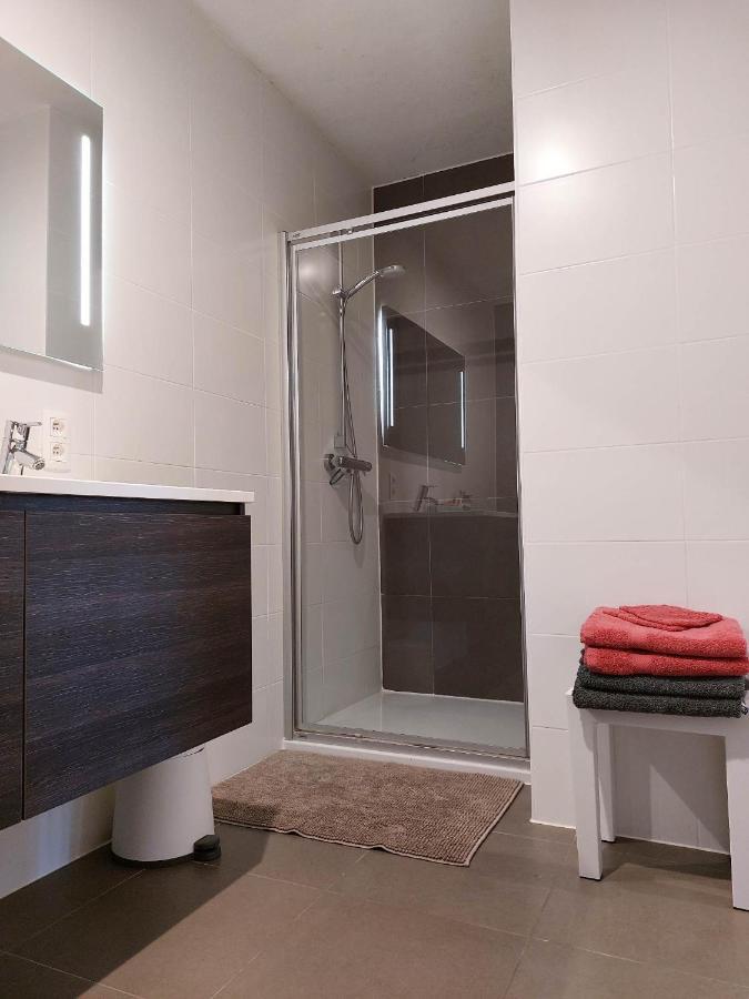 Duplex Villa Capricia Appartement Met Zwembad Nieuwpoort Jachthaven 外观 照片