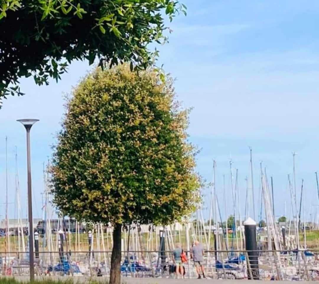 Duplex Villa Capricia Appartement Met Zwembad Nieuwpoort Jachthaven 外观 照片